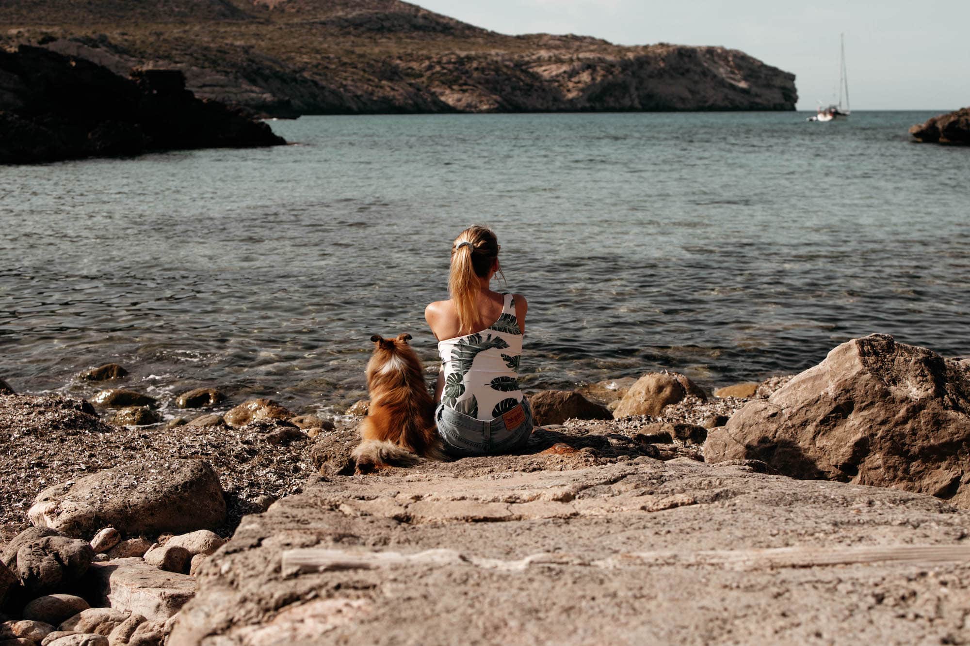 Mallorca mit Hund 8 Tipps für die Baleareninsel mit Fellnasen